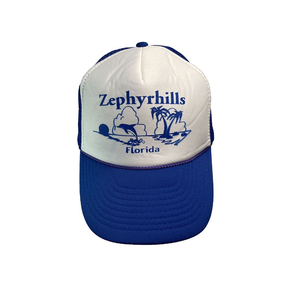 Vintage Zephyrhills Florida Snapback Trucker Hat White Blue‎ Ocean Beach Dolphin